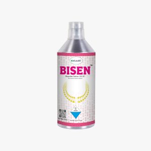 Bisen