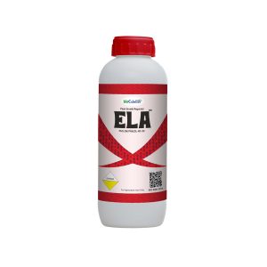 Ela