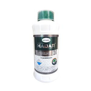 Hadar