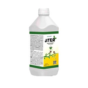 Jiter