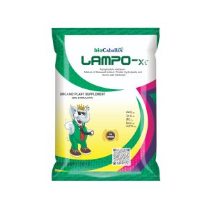 Lampo-XT