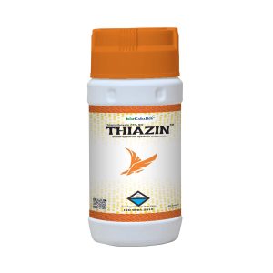 Thiazin