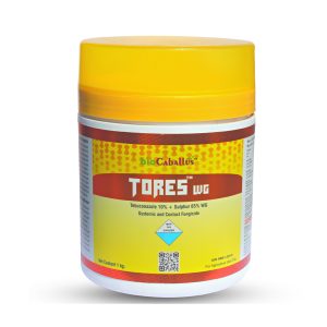 Tores WG