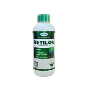 Retiloa