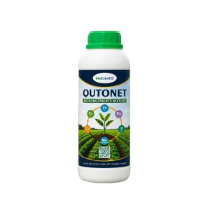 Qutonet