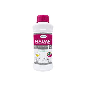 Hadar Max